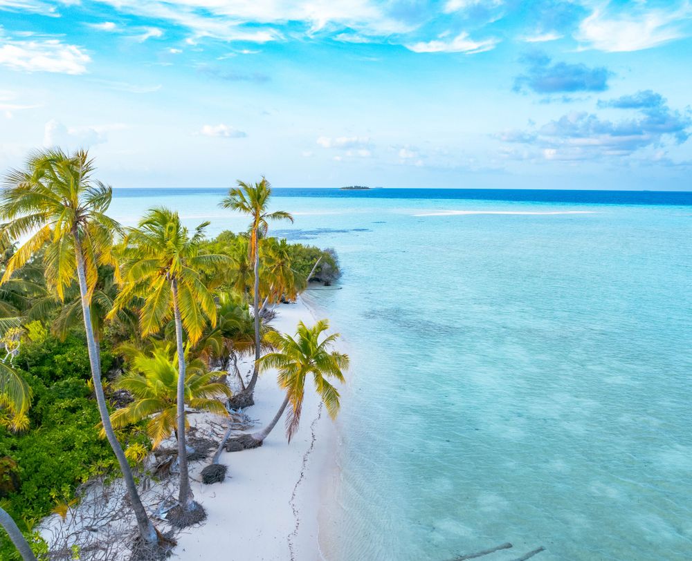 Aerial view of a sandbank and palm trees in the Indian Ocean in the Maldives